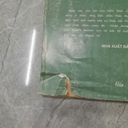 CHÂN DUNG NÀNG - R.NATHAN 787822