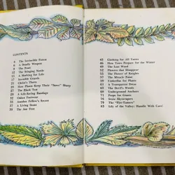 The Magic Tree (Cây thần kỳ) Bìa cứng  599391