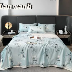 Bộ ga lụ thái 590777