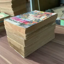 Thanh cung mười ba triều, trọn bộ 5 tập, Nguyễn Hữu Lương dịch 674718