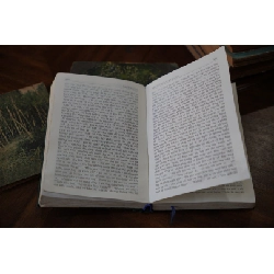 Anh em nhà Karamazov - F. M. Dostoievsky 387217