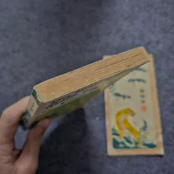 The mystery of the hiden house 740728