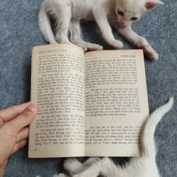 HÀNH TRÌNH XA THẲM - VŨ ĐÌNH GIANG 567807
