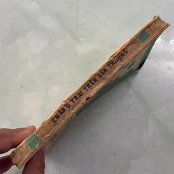 Chàng trai trên sân thượng - 1985s 996956