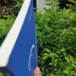 Song tử thơ Như Quỳnh de Prelle 995309