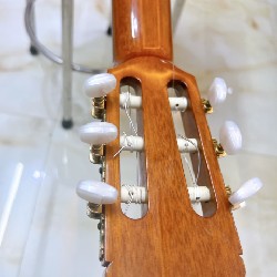 Đàn guitar Classic 6783