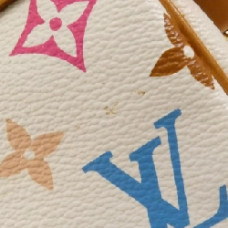 Túi đeo chéo Louis Vuitton Multicolor Pochette Accessoires M92649 - Hàng hiệu Chính hãng 805949