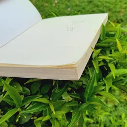 Giữa thế gian vội vã 740933