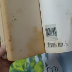 Lone Survivor - Marcus Luttrell & Patrick Robinson 1027587