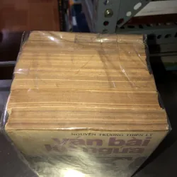 Ván bài lật ngửa - Nguyễn Trương Thiên Lý 931251