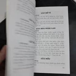 Chữa bệnh bằng cây lá quanh ta 995316