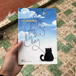 Chuyện con mèo dạy hải âu bay