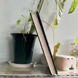 Thược dược đen 746093