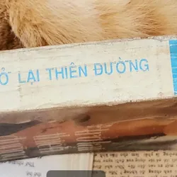 Tiểu thuyết của Elia Kazan: TRỞ LẠI THIÊN ĐƯỜNG (505 trang) 716944