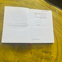 BÔNG HỒNG VÀNG VÀ BÌNH MINH MƯA- K. PAUTOPSKY 539545