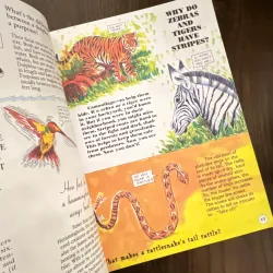 ✨𝑻𝒉𝒆 𝑩𝒊𝒈 𝑩𝒐𝒐𝒌 𝒐𝒇 𝑸𝒖𝒆𝒔𝒕𝒊𝒐𝒏𝒔 𝒂𝒏𝒅 𝑨𝒏𝒔𝒘𝒆𝒓𝒔✨ 697532