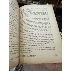 Hạnh Tích Cha Benoit 1065799