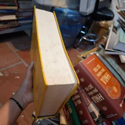 Việt sử cương mục tiết yếu 932130