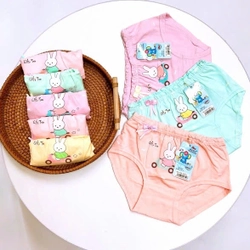 Quần chip bé gái vải cotton họa tiết thỏ dễ thương size 15 - 35kg