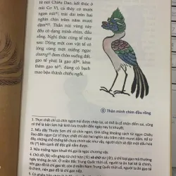 SƠN HẢI KINH - KHUYẾT DANH 728373