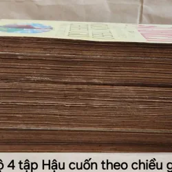 Trọn bộ 4 tập HẬU CUỐN THEO CHIỀU GIÓ - Alexandra Ripley 703853