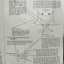 BẤM HUYỆT CÁCH CHỮA VÀ SỰ ÍCH LỢI - FM. HOUSTON, DC 996086