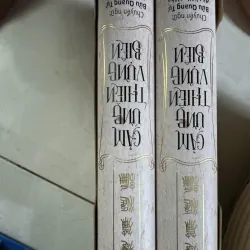 SÁCH CẢM ỨNG THIÊN VỰNG BIÊN - BỘ 2 QUYỂN CÓ HỘP 400K