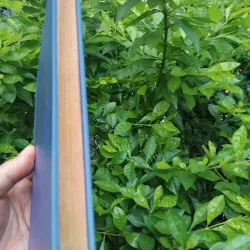 Cây sáo nàng Tan tập truyện Albania 1004721