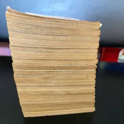 truyện tranh Bá tước tiểu thư (tên gốc: The Countess)  996319