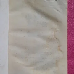 Tony Buổi sáng 1001226