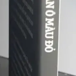 Cô Gái Bán Ổ Màu Đỏ - Trần Minh Hợp 695587