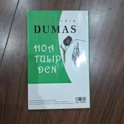 Hoa tulip đen 717723