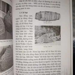 Nông - Ngư cụ cổ truyền Nam bộ – Nhìn từ Đồng Tháp Mười 673968