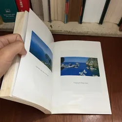 II Văn Học Thiếu Nhi: Hang Xanh - ANNA WEIL - ROGER VU (Dịch) - 2020 709209