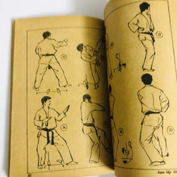 TUỔI TRẺ VÀ VÕ THUẬT  - 141 trang, nxb: 1988 542122