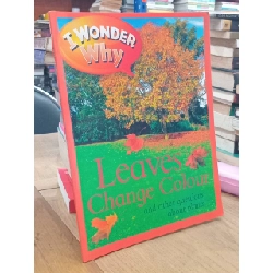 I WONDER WHY series 696701