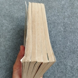 CHIE CÔ BÉ HẠT TIÊU 504825