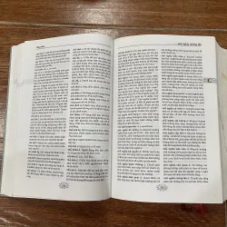 Từ điển Tiếng Việt - Hoàng Phê (10) 999333