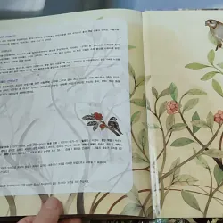 [Tặng nẹp góc] Truyện thiếu nhi Hàn Quốc: Moyamo Anu 37 -  모야모 아누와: 다정한 오누이 732034