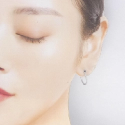 Khuyên tai Micro Pave De Beers - Hàng hiệu Chính hãng 844552