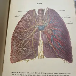 BỆNH SUYỄN - SÁCH Y KHOA TRƯỚC 75 572912