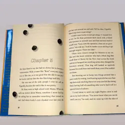 Combo ngoại văn về cún yêu: Inside of a dog & a handful of stars 732848