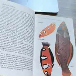 Tropical Marine Aquaria by Graham F. Cox In Yugoslavia (Hamlyn Publishing Group) 791528