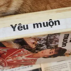 Pearl Buck - Tiểu thuyết YÊU MUỘN 703881