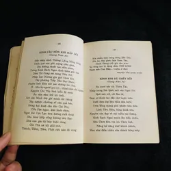 Kinh thiên đạo và thế đạo  731814