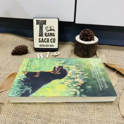  Về Nhà - A Dog's Way Home 776277