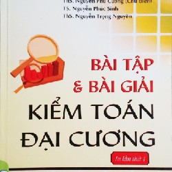 Bài Tập Và Bài Giải Kiểm Toán Đại Cương