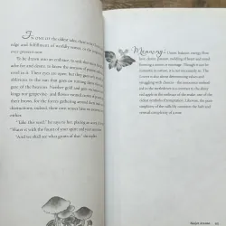 Shadowscapes Tarot - Stephanie Pui-Mun Law ,  Barbara Moore 731639