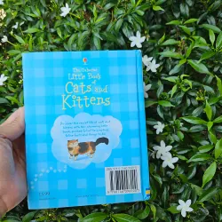 Cats and Kittens 995238