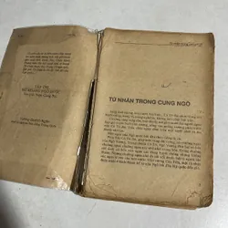 Tây Thi - Nữ hoàng Ngô quốc - 1989s 595595